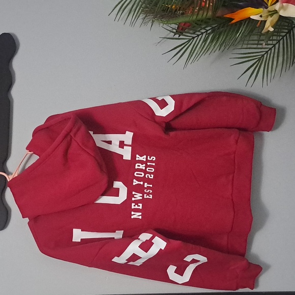 Pink Chicago Spellout Hoodie New Size XL - Picture 3 of 4